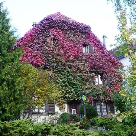 B&B De Charme La Maison Des 5 Temps Ferrette エクステリア 写真