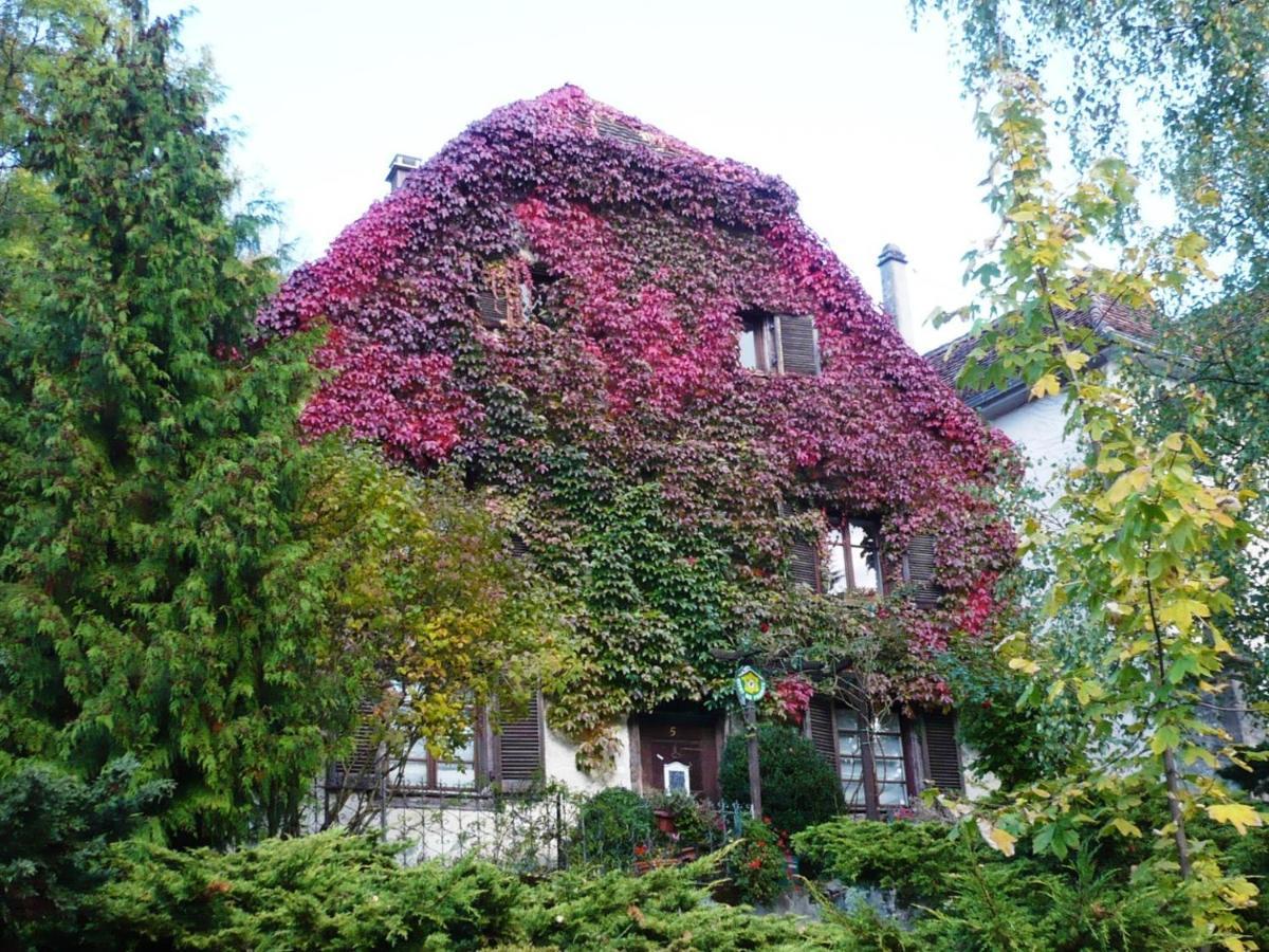 B&B De Charme La Maison Des 5 Temps Ferrette エクステリア 写真