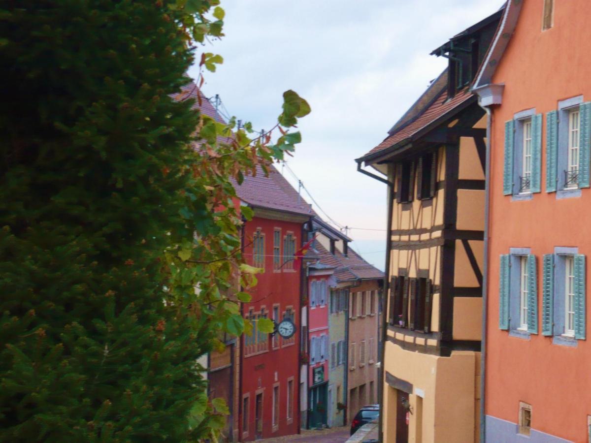 B&B De Charme La Maison Des 5 Temps Ferrette エクステリア 写真