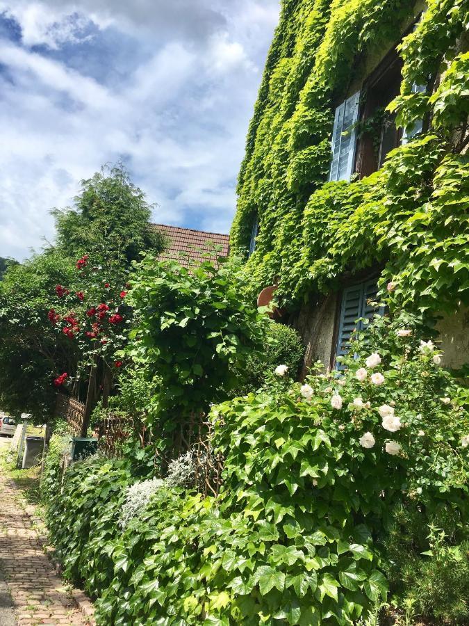 B&B De Charme La Maison Des 5 Temps Ferrette エクステリア 写真