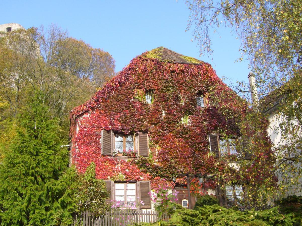 B&B De Charme La Maison Des 5 Temps Ferrette エクステリア 写真