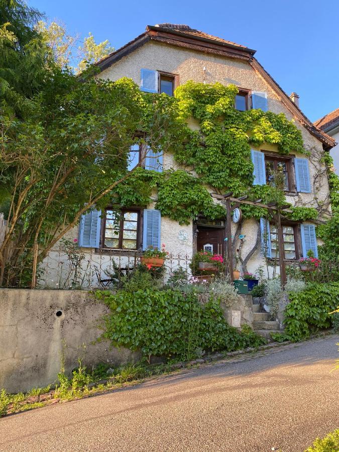 B&B De Charme La Maison Des 5 Temps Ferrette エクステリア 写真