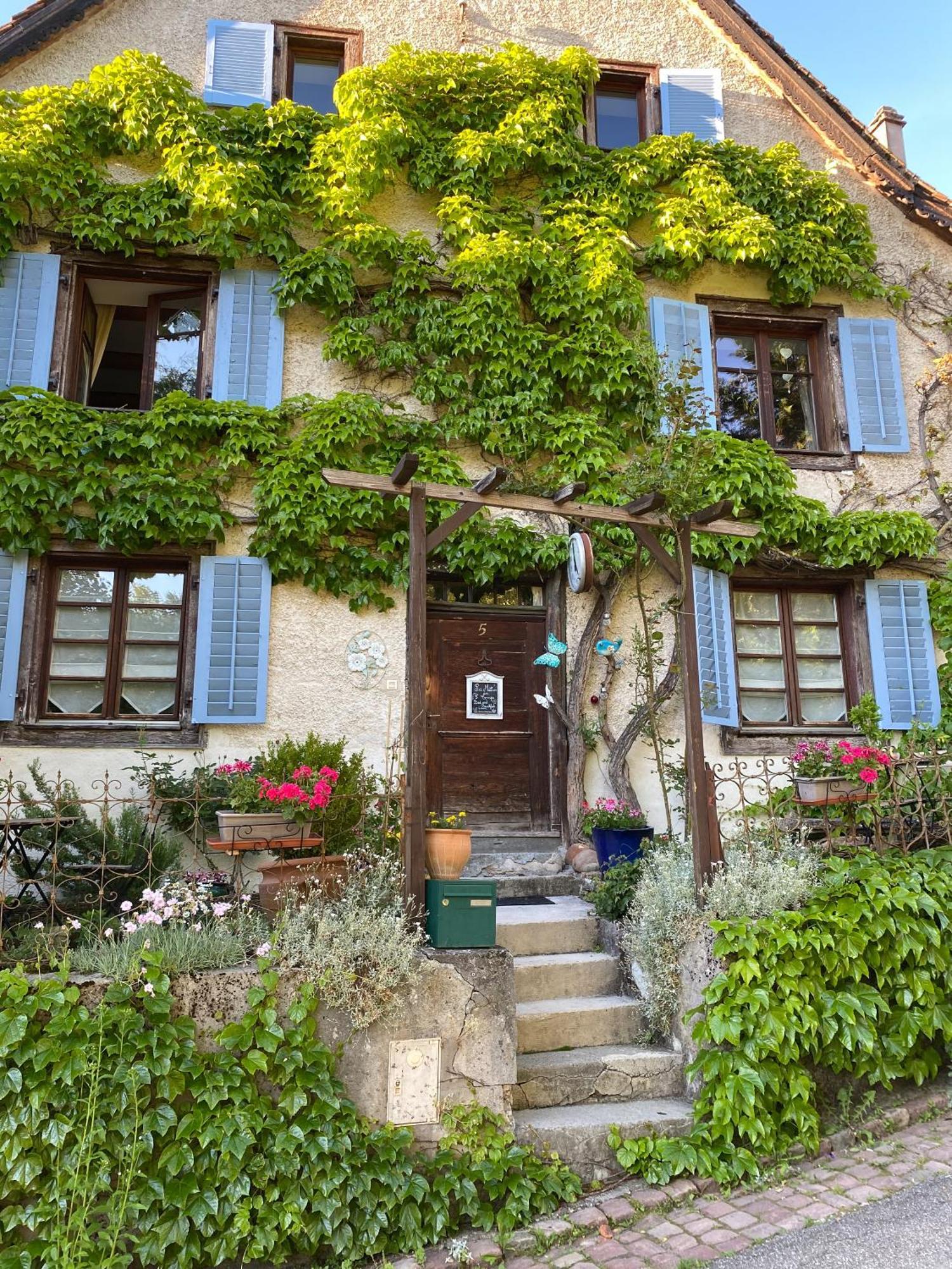 B&B De Charme La Maison Des 5 Temps Ferrette エクステリア 写真