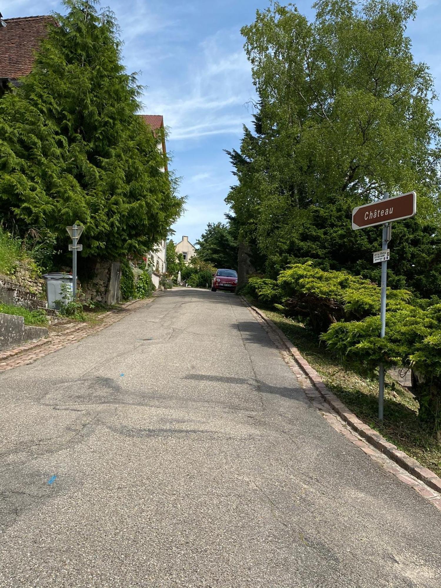 B&B De Charme La Maison Des 5 Temps Ferrette 部屋 写真