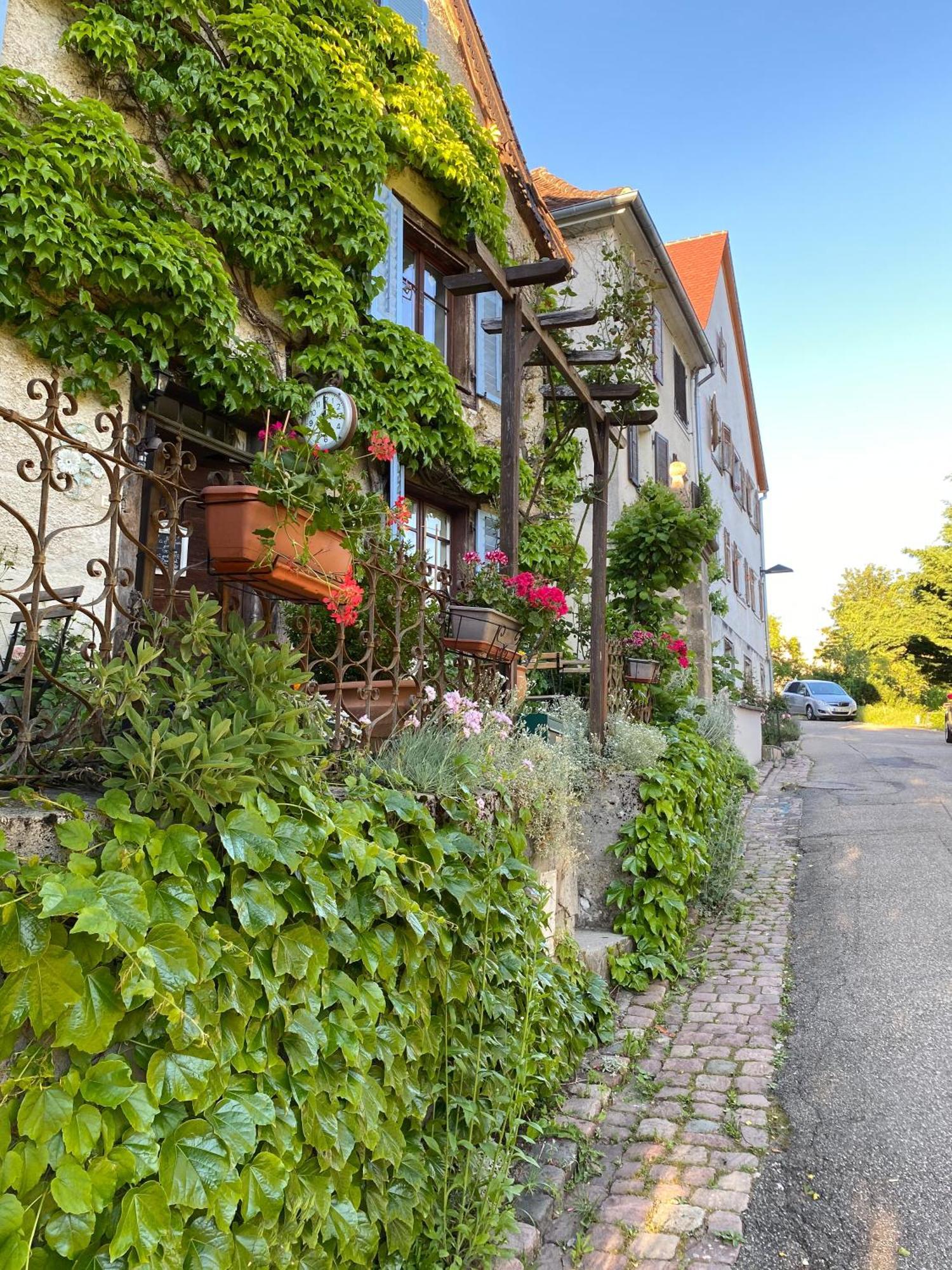 B&B De Charme La Maison Des 5 Temps Ferrette 部屋 写真