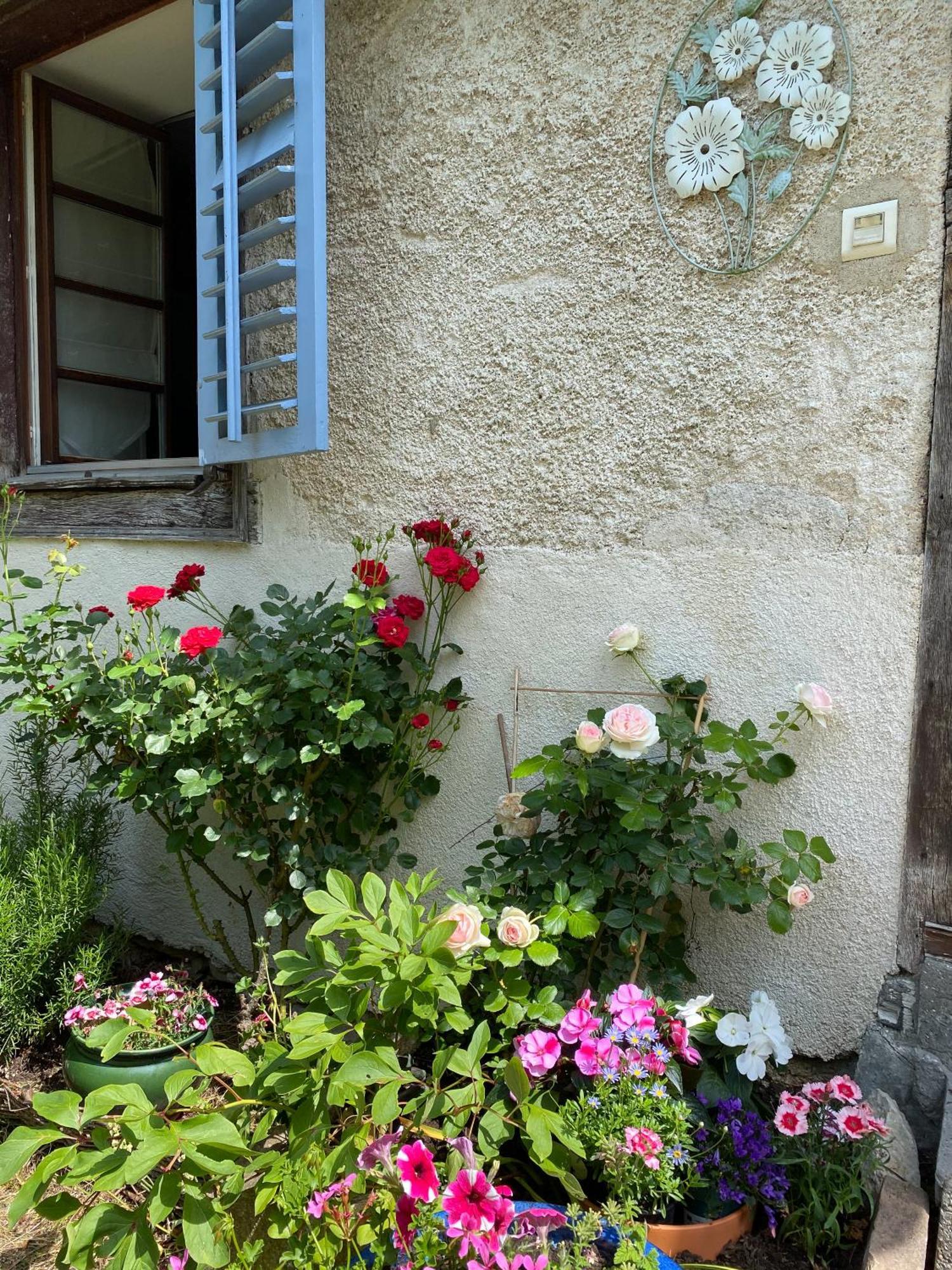 B&B De Charme La Maison Des 5 Temps Ferrette 部屋 写真