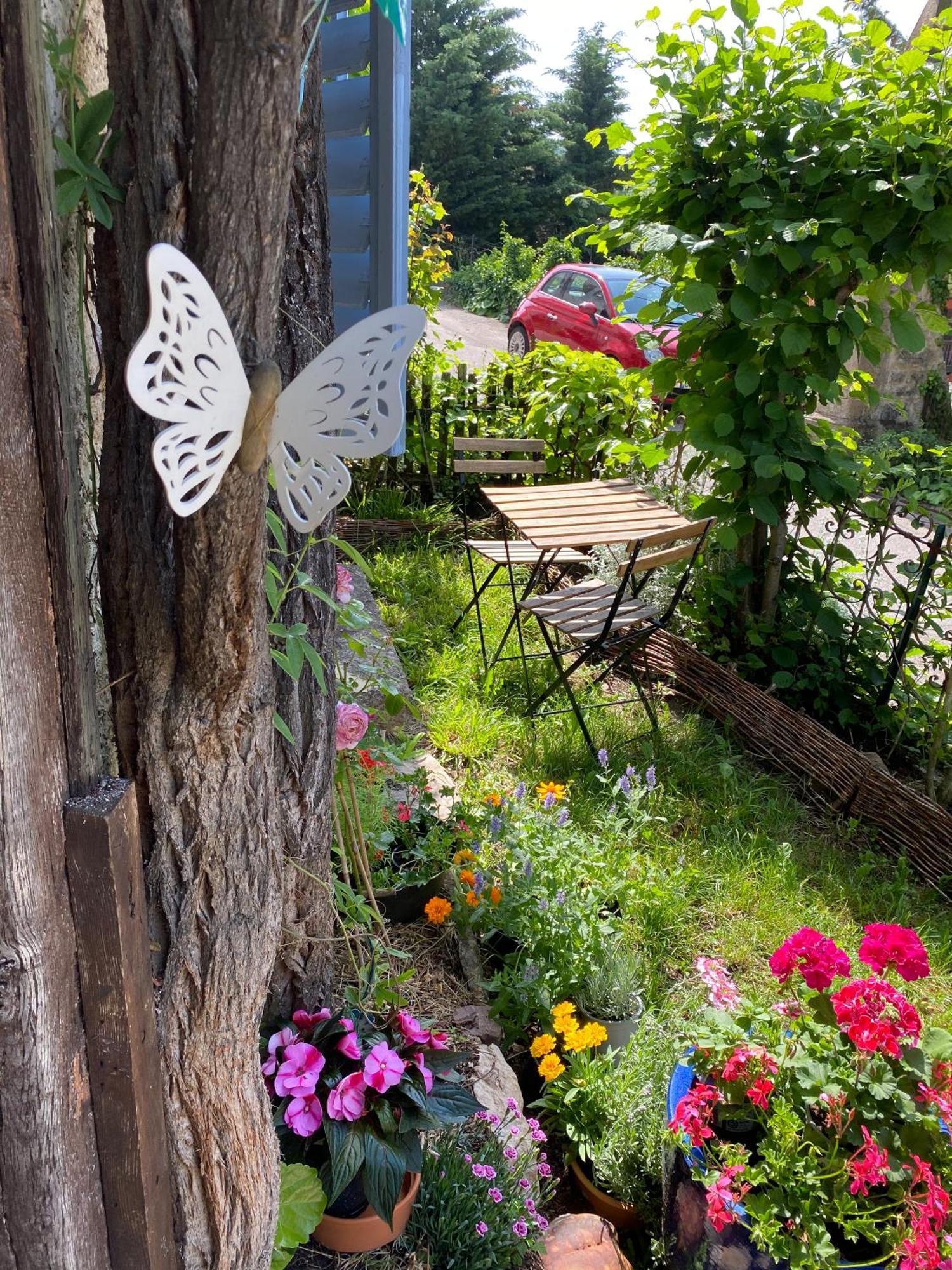 B&B De Charme La Maison Des 5 Temps Ferrette 部屋 写真
