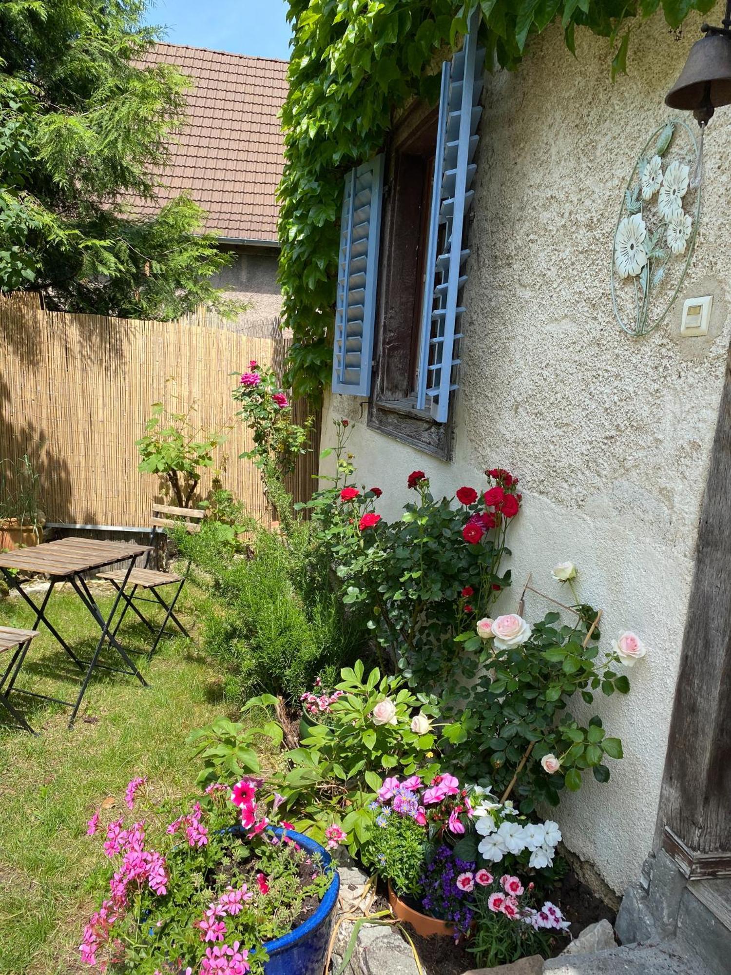 B&B De Charme La Maison Des 5 Temps Ferrette 部屋 写真