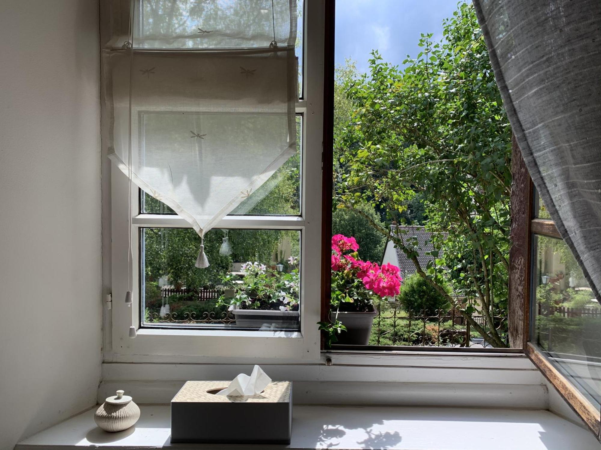 B&B De Charme La Maison Des 5 Temps Ferrette 部屋 写真
